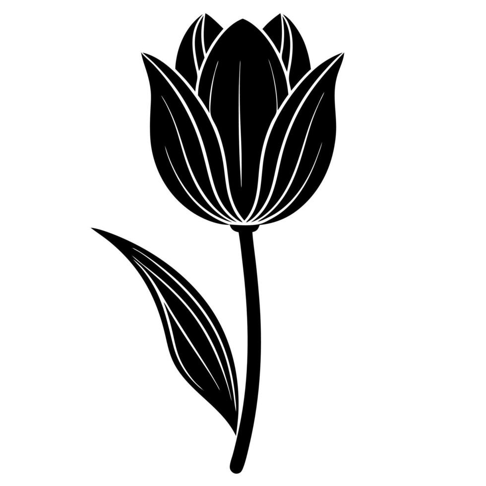 tulip flower black silhouette vector