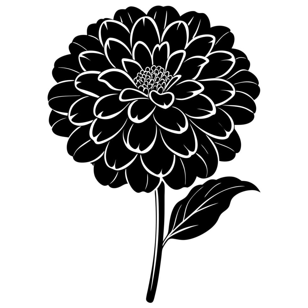zinnia flower black silhouette vector