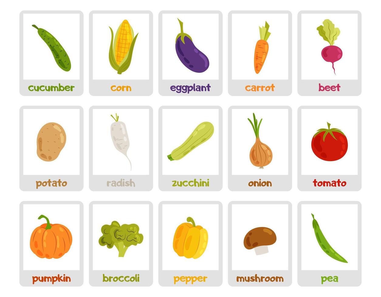 A set of cards with illustrations of vegetables and their names. Vegetables in flat style on a white background. Educational cards for children. vector