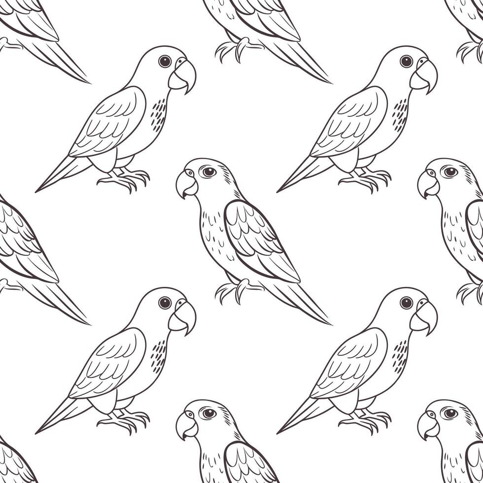 Seamless pattern, linear drawings of tropical parrots on a white background. Cute macaw birds. Design for textile, background, print vector