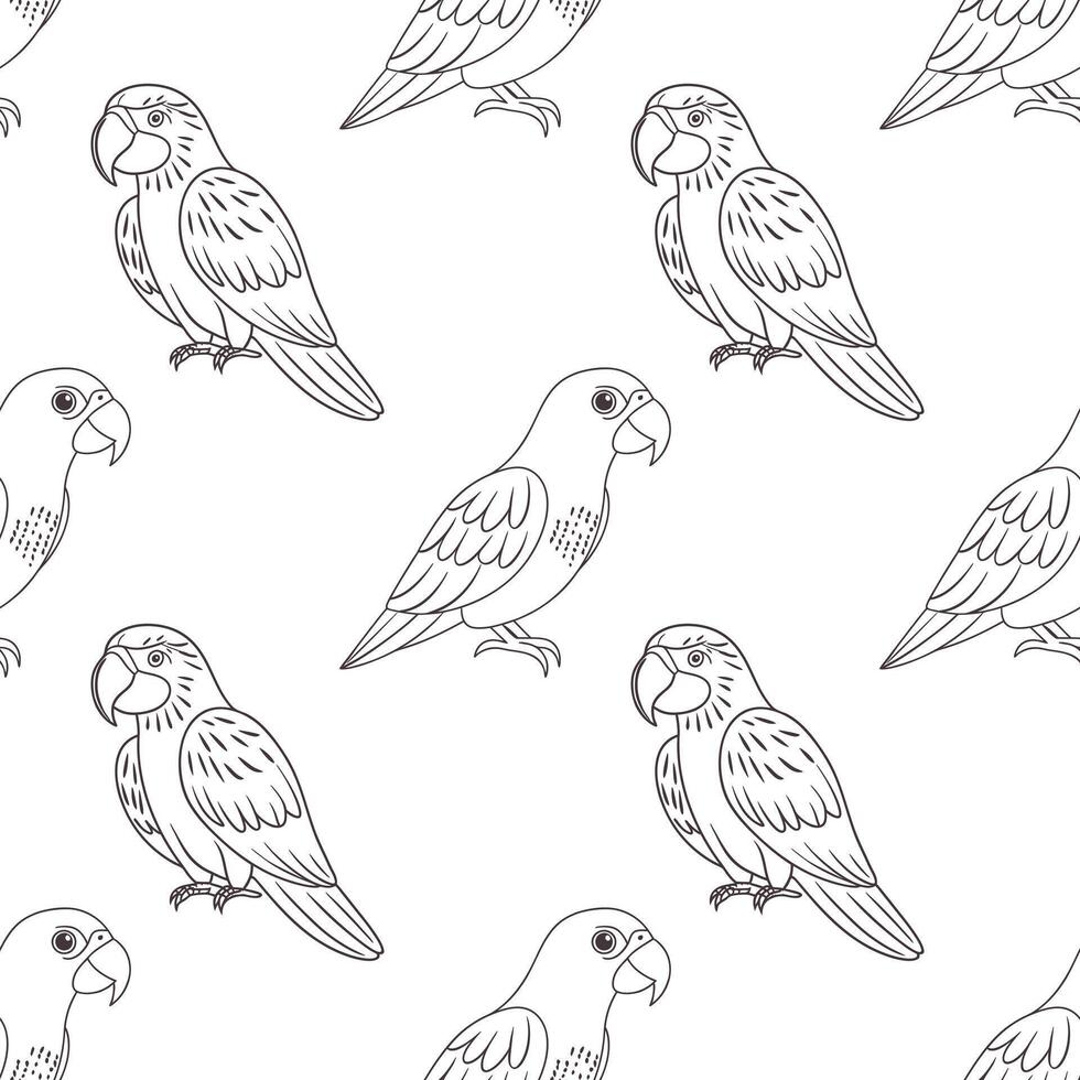 Seamless pattern, linear drawings of tropical parrots on a white background. Cute macaw birds. Design for textile, background, print vector