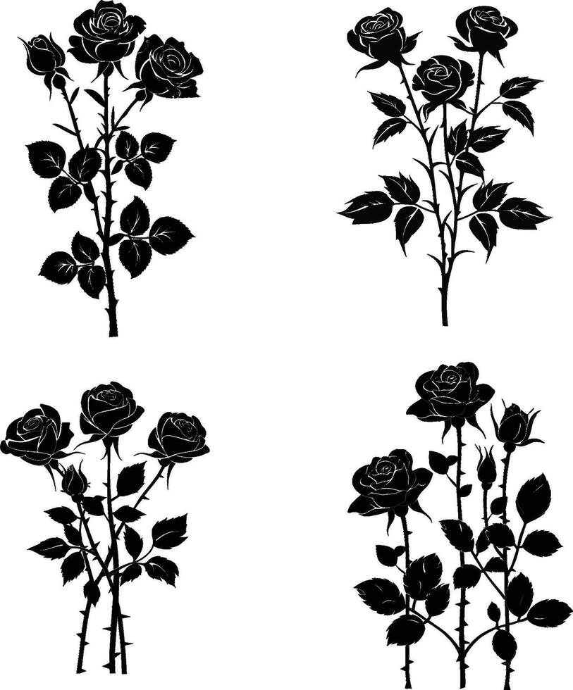 Set roses flowers isolated on white background. Wild flowers roses isolated vector