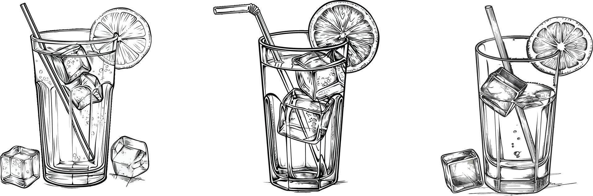 a drawing of four different types of drinks vector