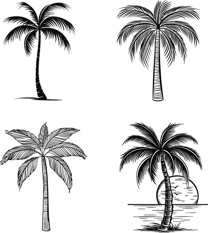Black and White Silhouette Collection of Palm Trees and Coconuts vector