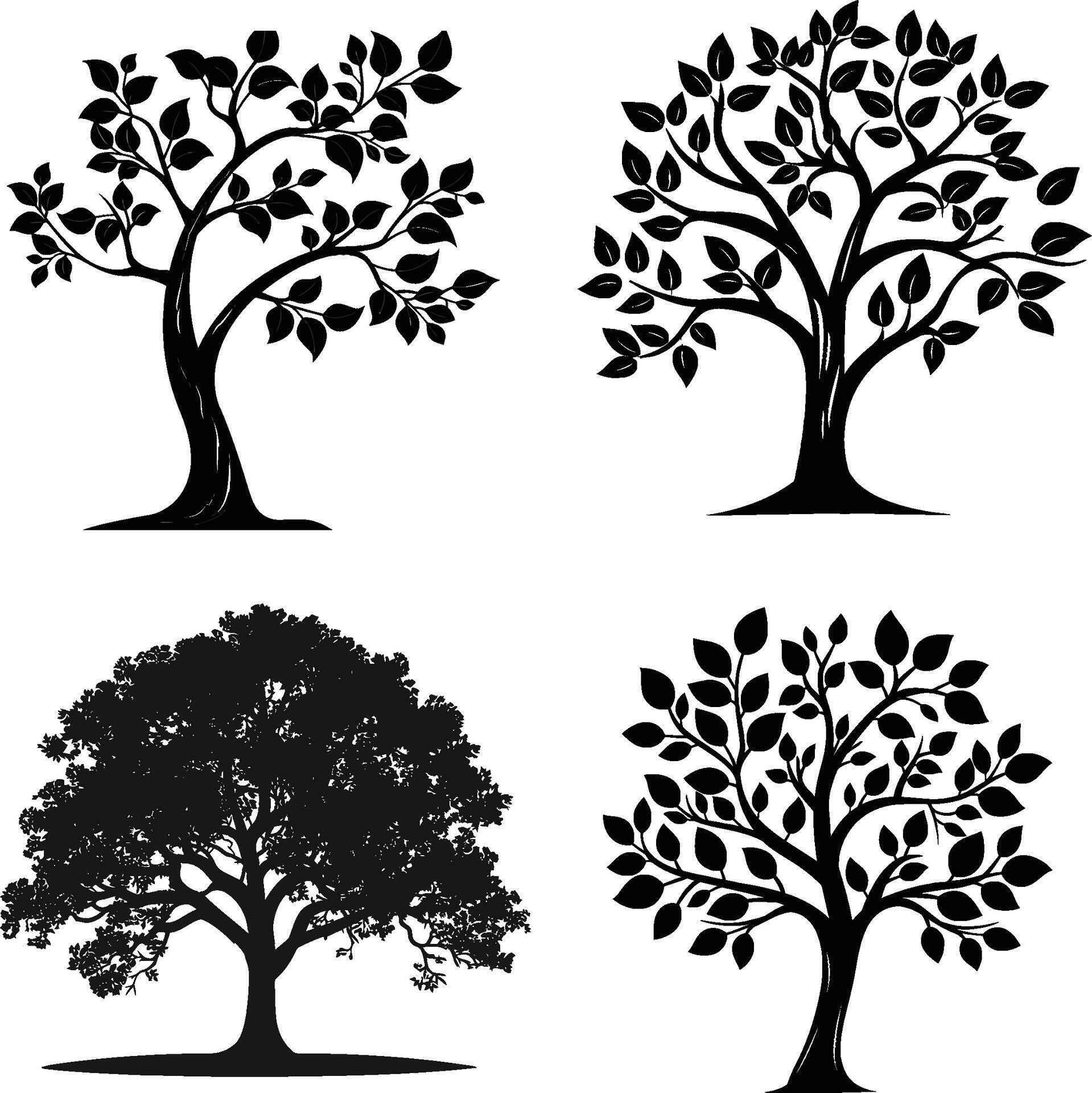 silhouette tree line drawing set, Side view, set of graphics trees ...