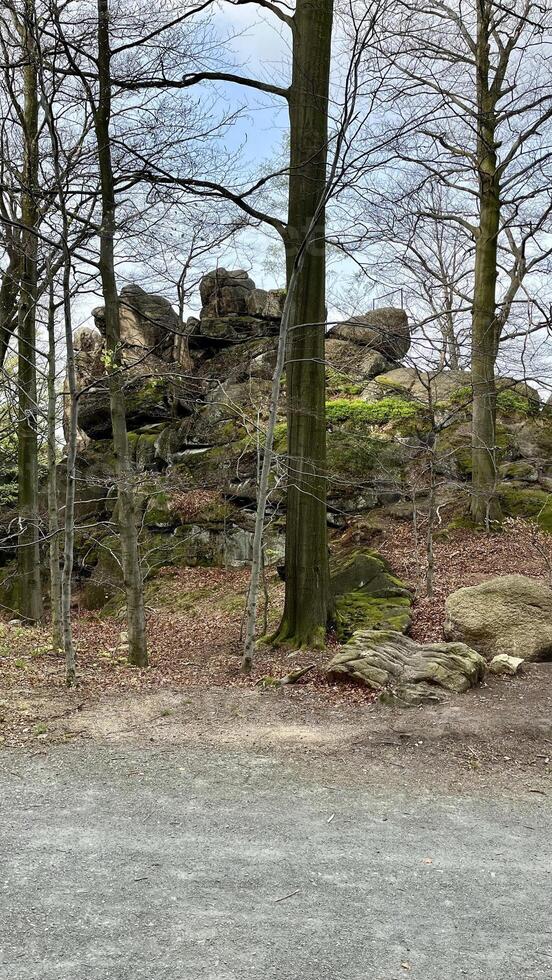 Stone walls in the form of statues from basalt rocks in the Polish forest, natural erosion photo