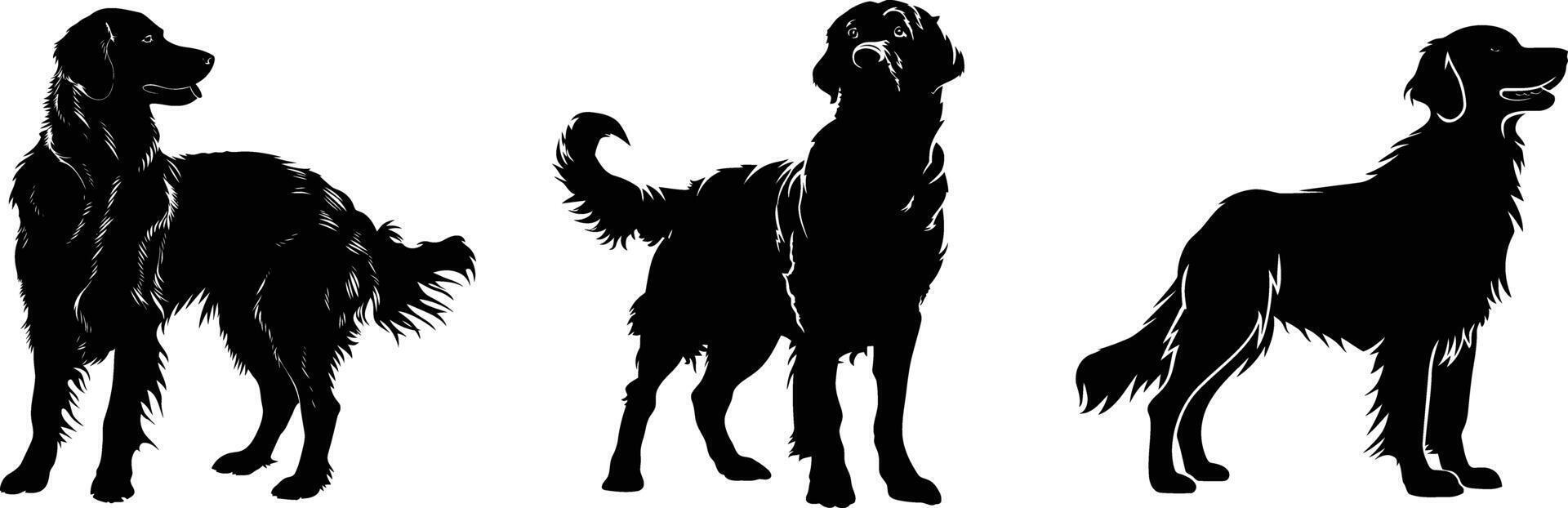 Silhouettes of Dogs in Various Poses, Isolated on White Background vector