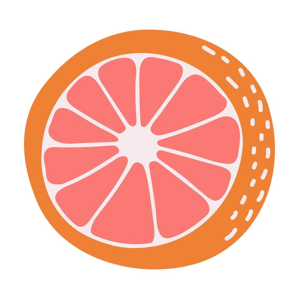 Grapefruit in the style of nursery art. Hand drawn abstract fruit in boho style. vector