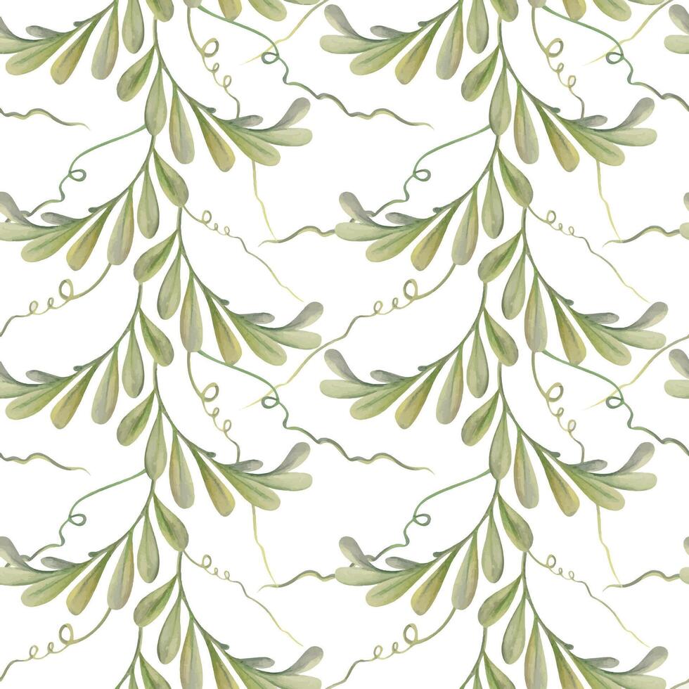 Hand drawn watercolor illustration shabby boho botanical flowers leaves. Green locust indigofera branches, tendrils. Seamless pattern isolated white background. Design wedding, love cards, gift paper vector