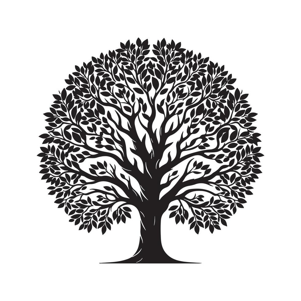 Tree Silhouette in Black Format with Editable Transparent Background vector