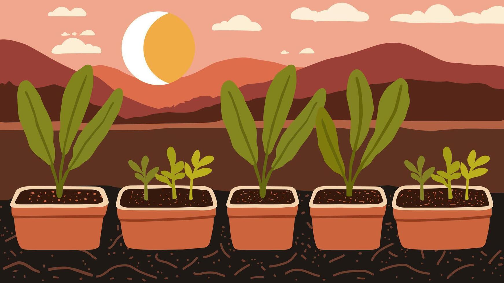 vegetable plants in pots and a twilight landscape background vector