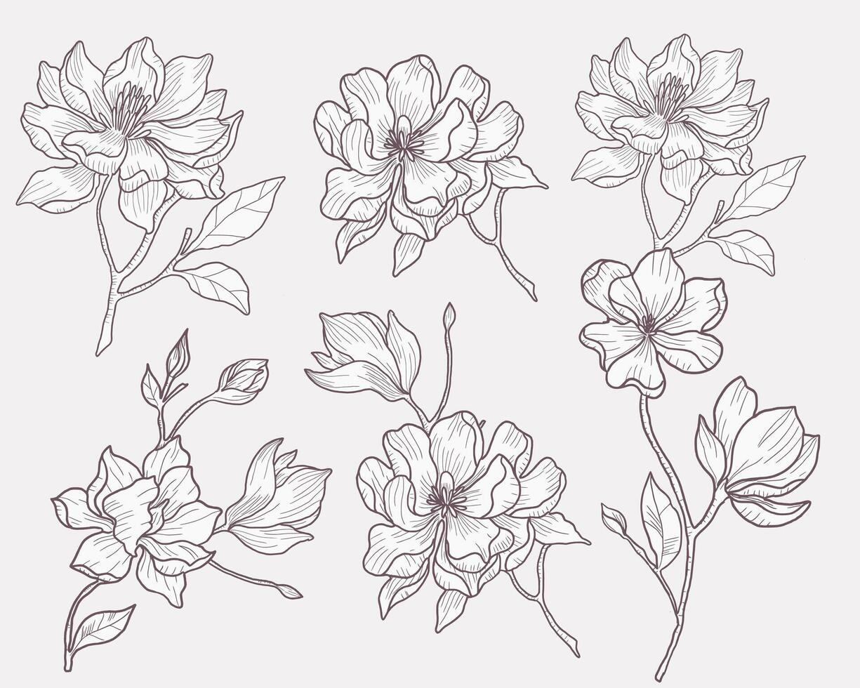 Hand Drawn Magnolia Flower Set vector