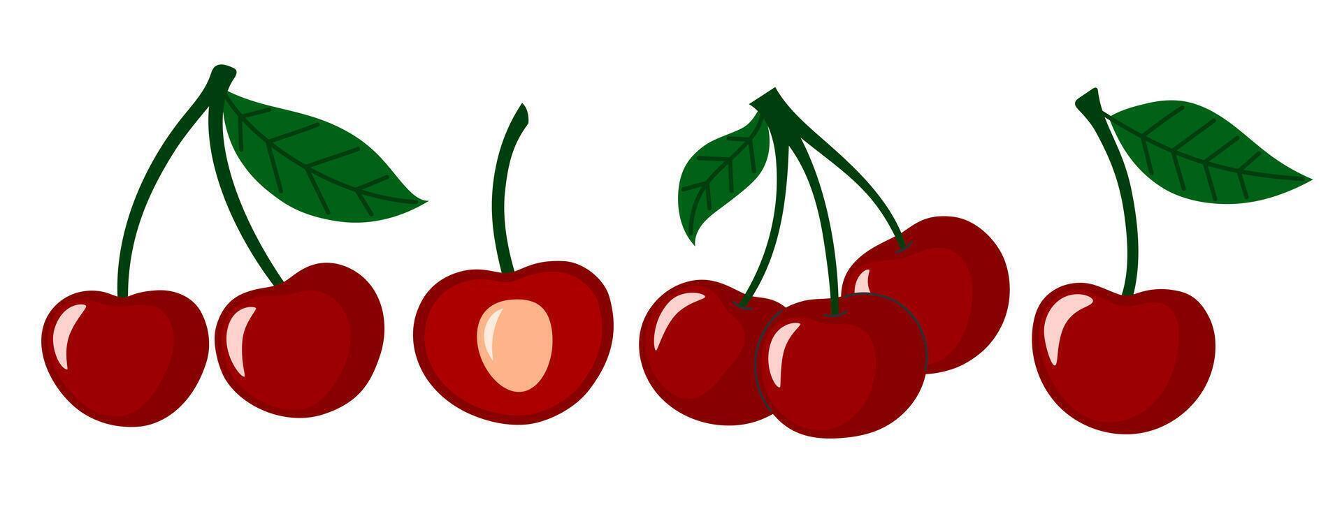 Cherry berry set. Juicy ripe cherries with leaves. Summer berries. Flat illustration isolated on white background vector