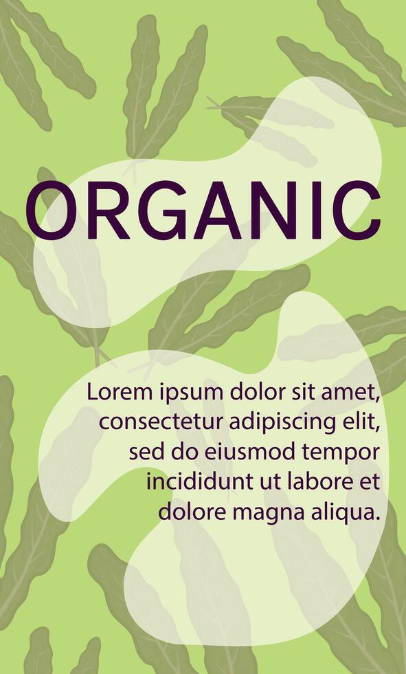 Kale cabbage leaves banners . Background vertical for theme harvest, organics, vegetable garden, health, herbs, healthy lifestyle. Design frame for decoration website, postcard, cover, poster vector