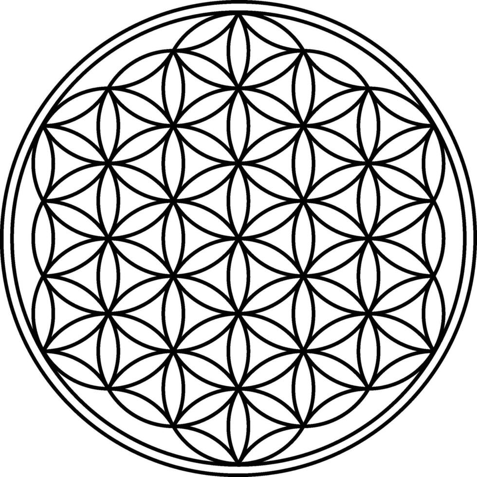 Flower of life isolated on white background. Sacred geometry symbol concept. vector