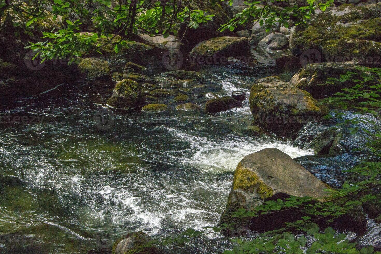 Pebbles and Stones in Water Stream in Summer photo