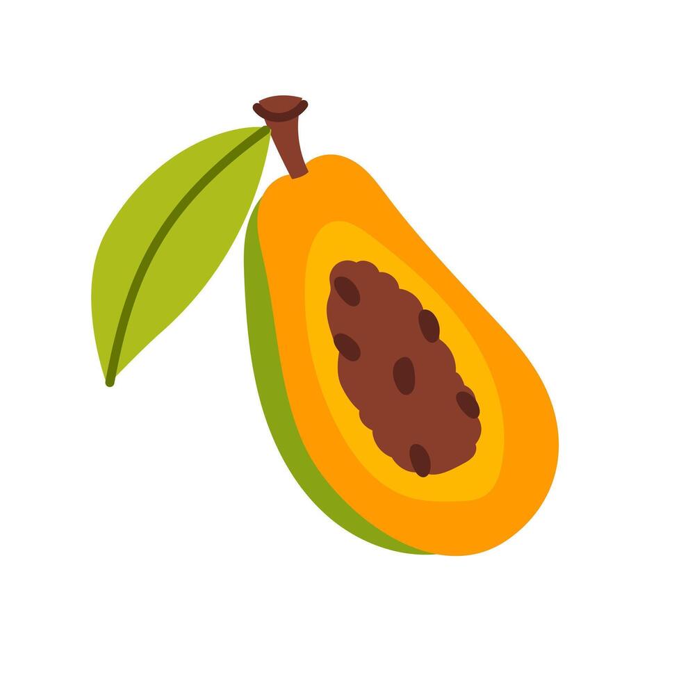 Illustration of ripe papaya vector