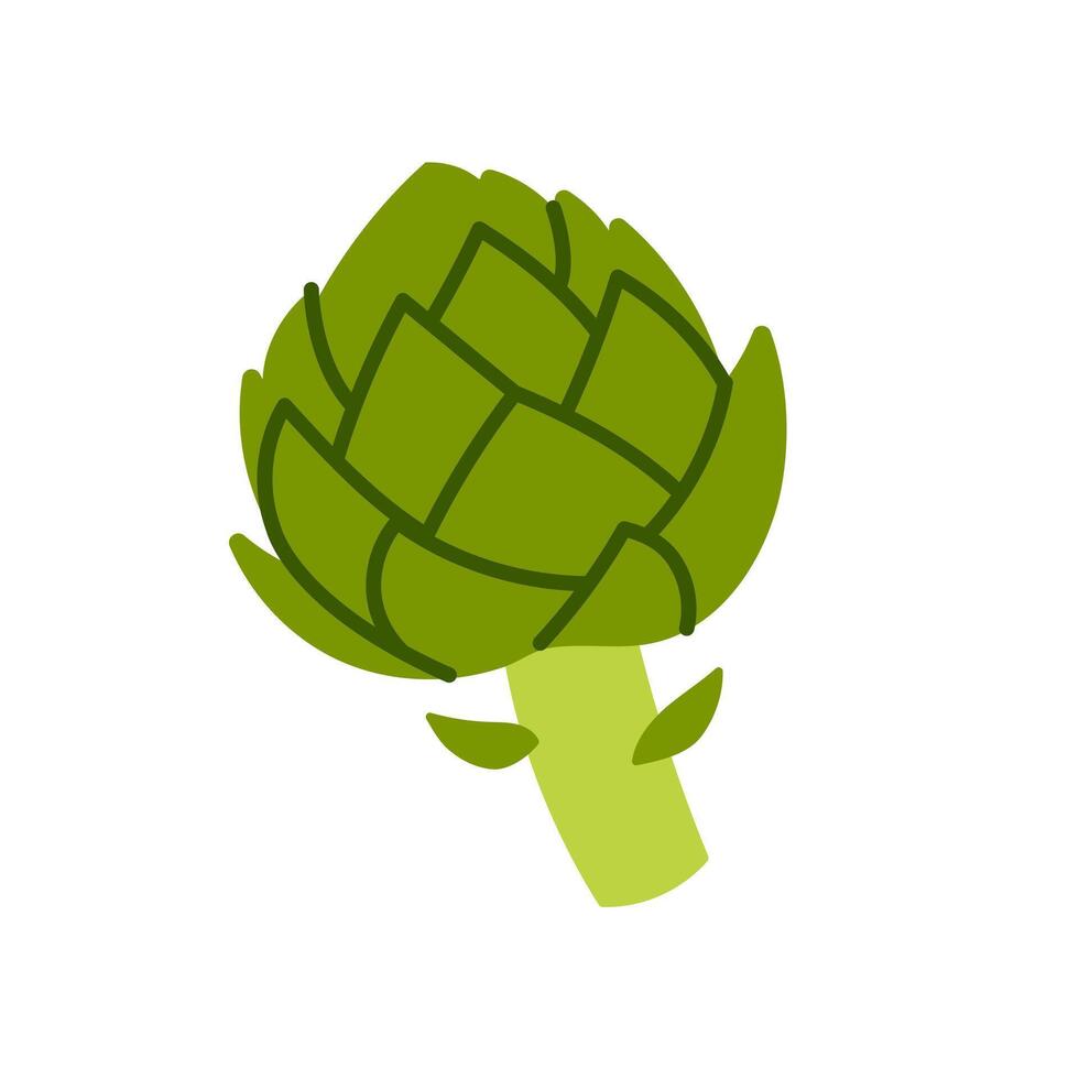 Illustration of ripe artichoke vector