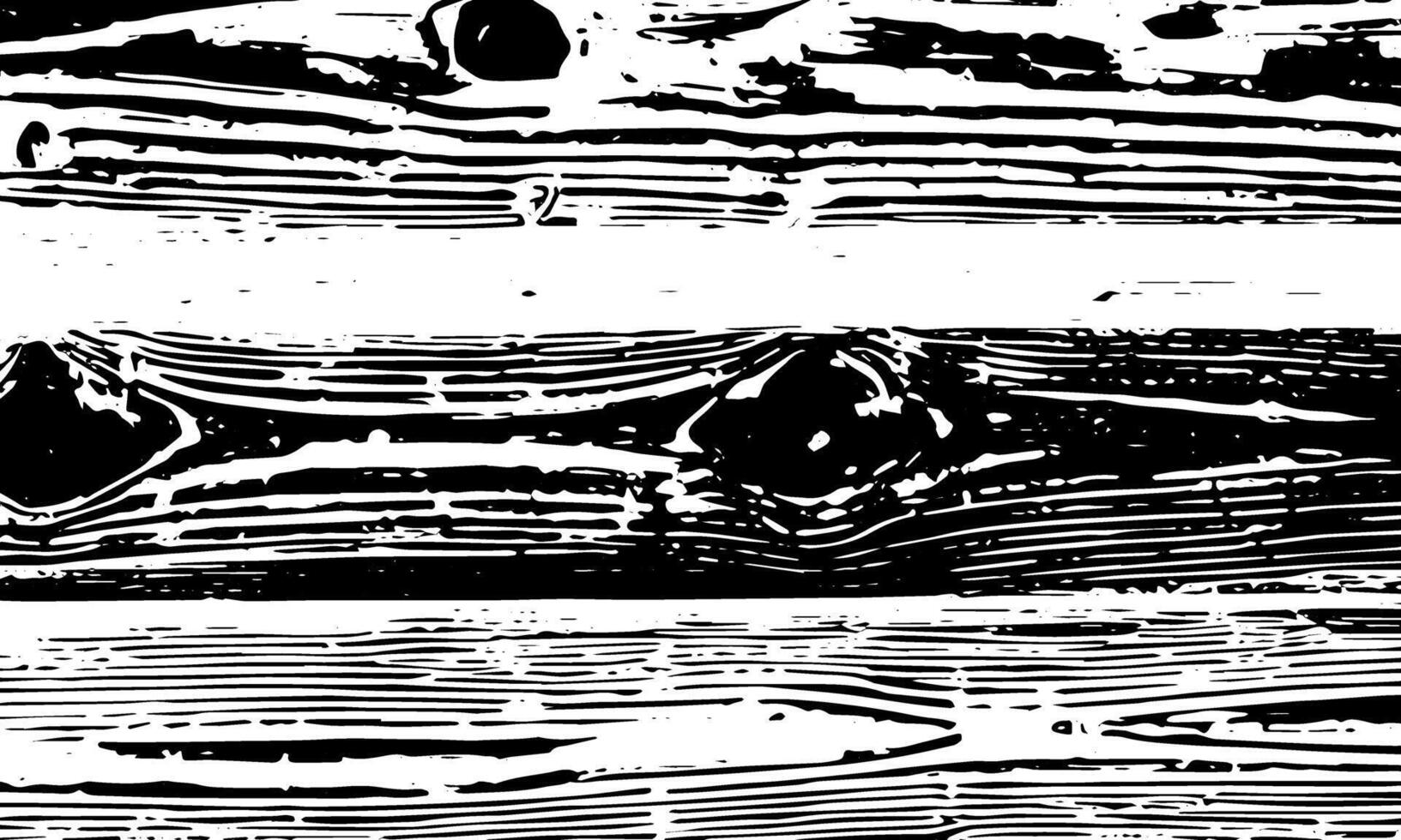Grunge detailed black abstract texture. Stripes, veins. background vector