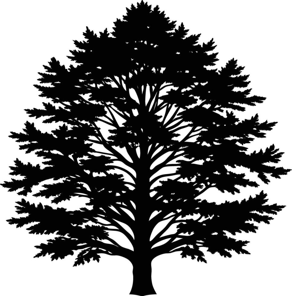 A black and white silhouette of a cypress tree vector