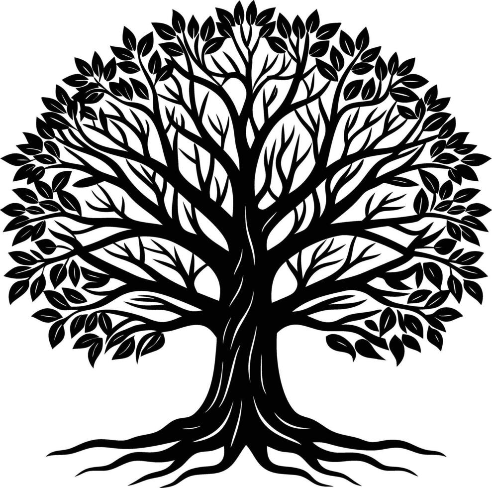 Silhouette of a banyan Tree isolated on white background vector