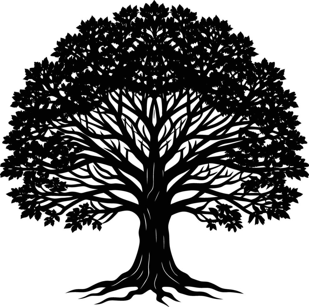Silhouette of a banyan Tree isolated on white background vector