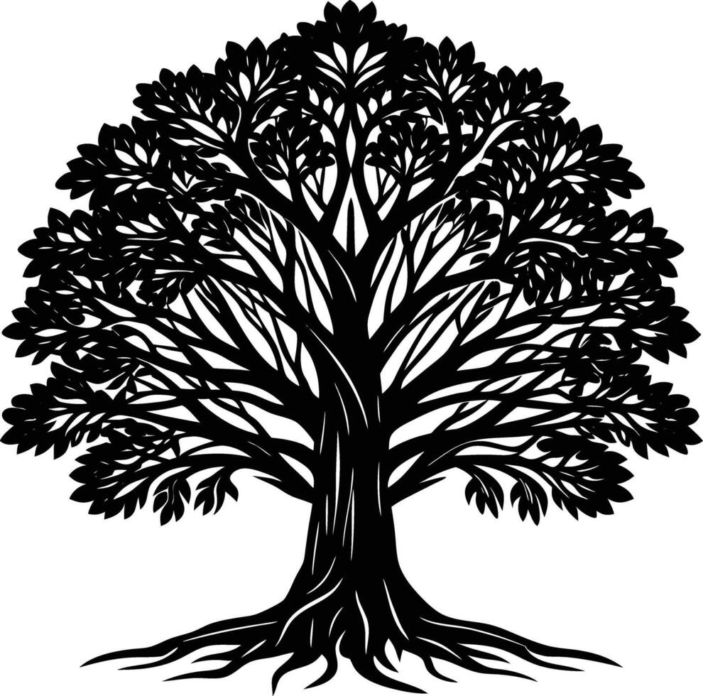 Silhouette of a banyan Tree isolated on white background vector