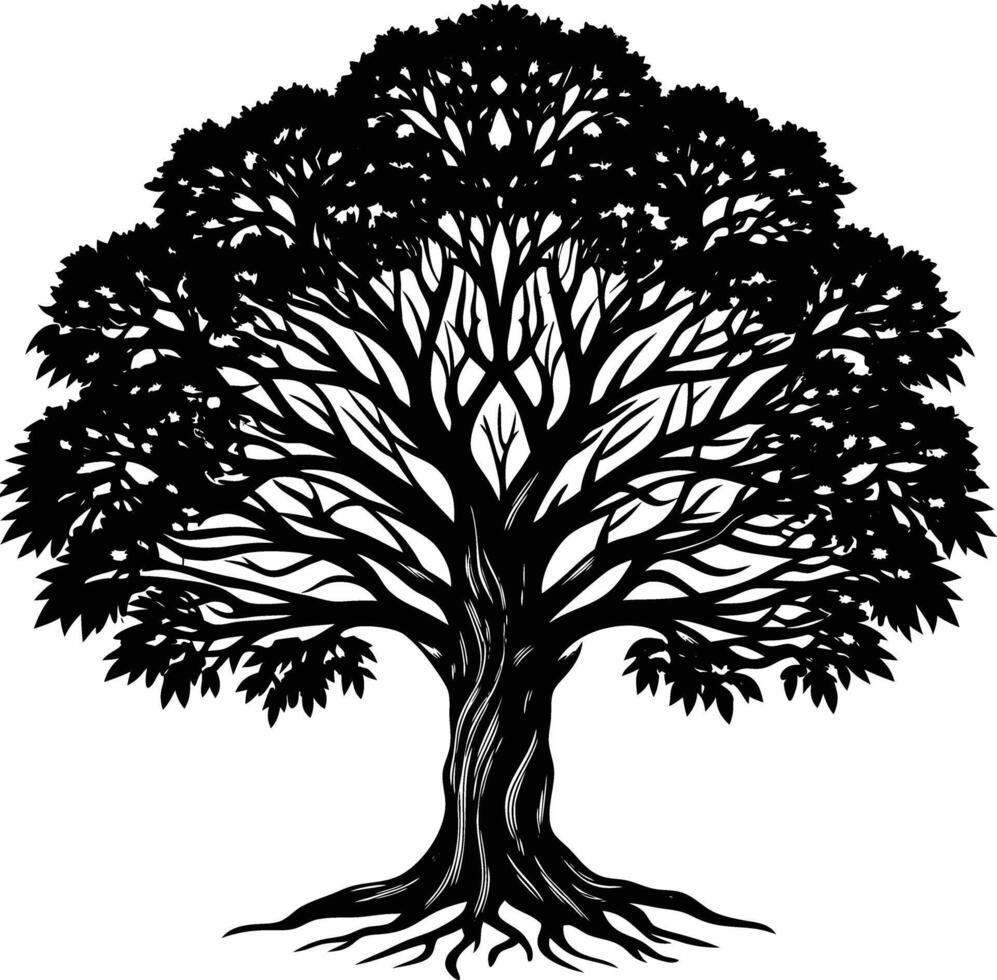 Silhouette of a banyan Tree isolated on white background vector