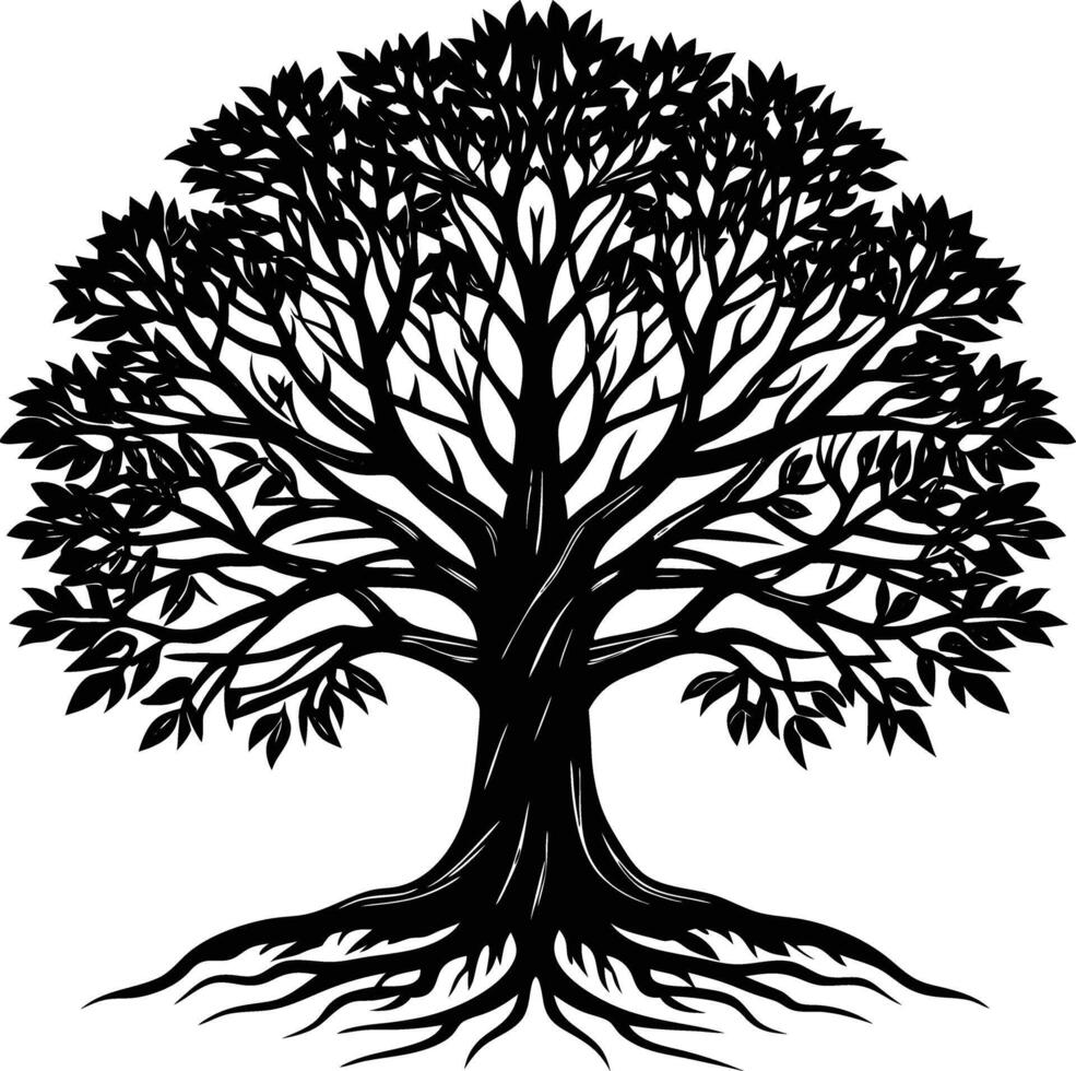 Silhouette of a banyan Tree isolated on white background vector