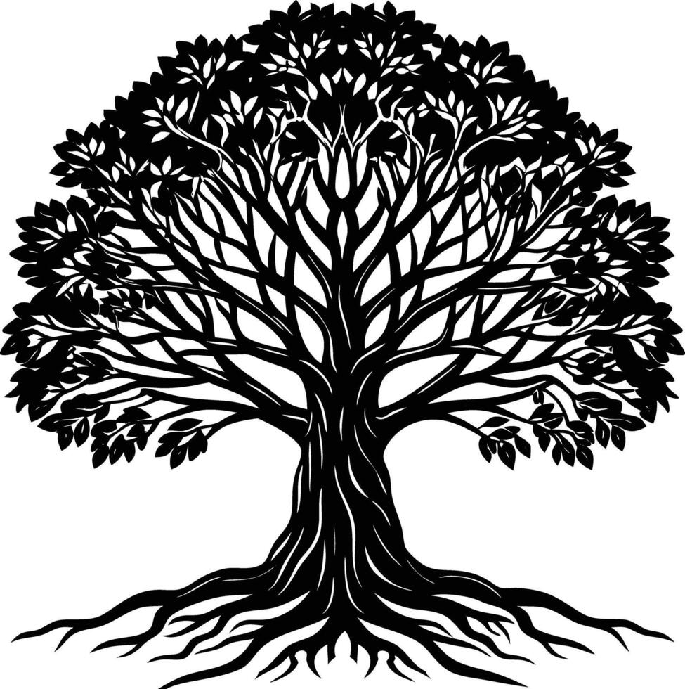 Silhouette of a banyan Tree isolated on white background vector