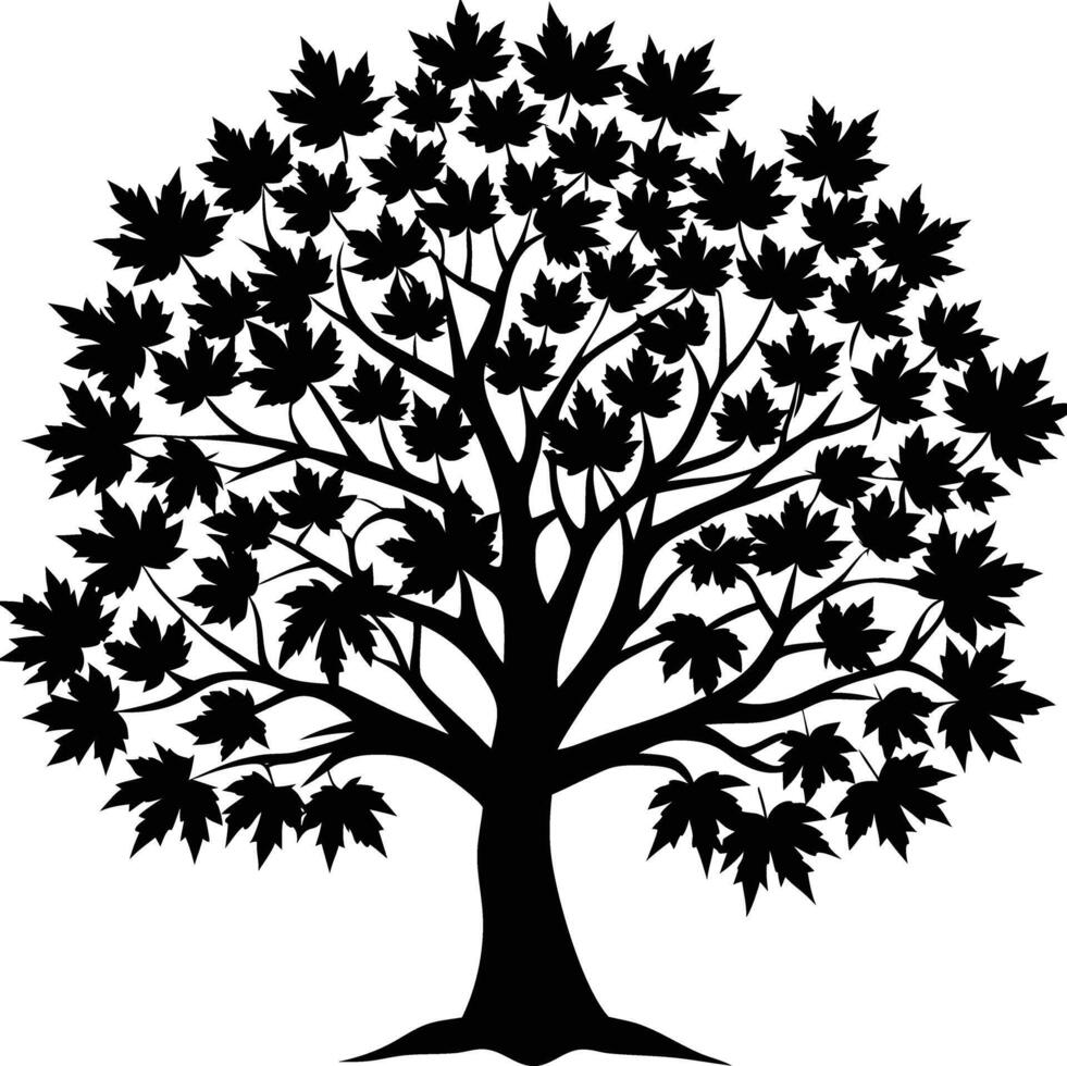 Beautiful black maple tree silhouette on white background vector