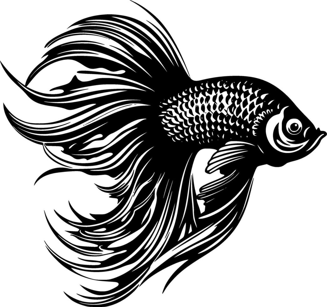 Betta Fish - Black and White Isolated Icon - illustration vector