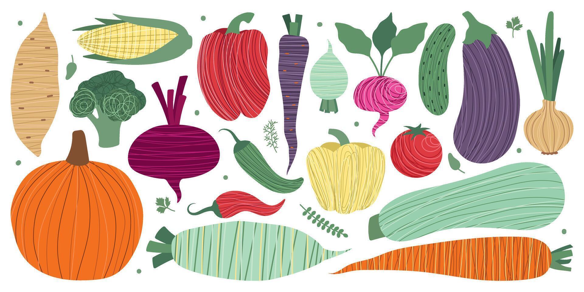 Vegetables large set. Stylized, abstract vegetables and greens. Isolated autumn illustration for your design vector