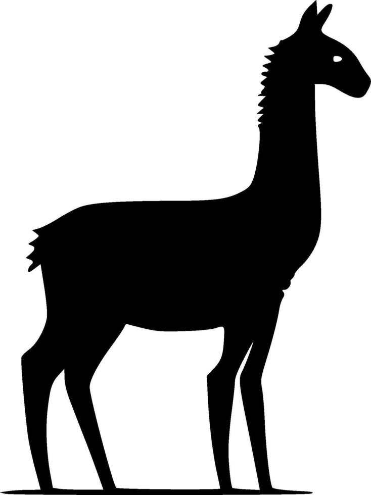 Llama, Black and White illustration vector