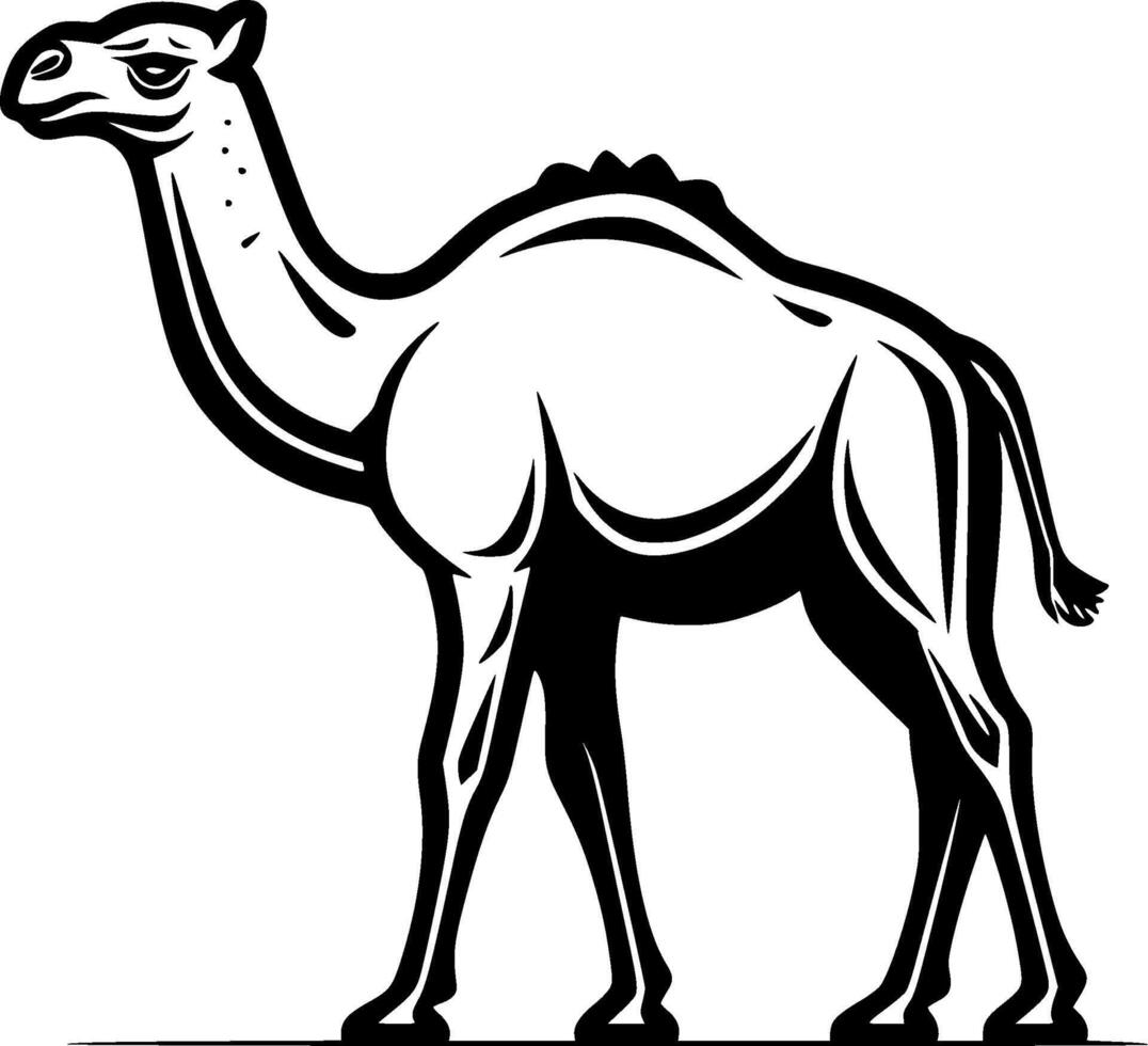 Camel, Black and White illustration vector