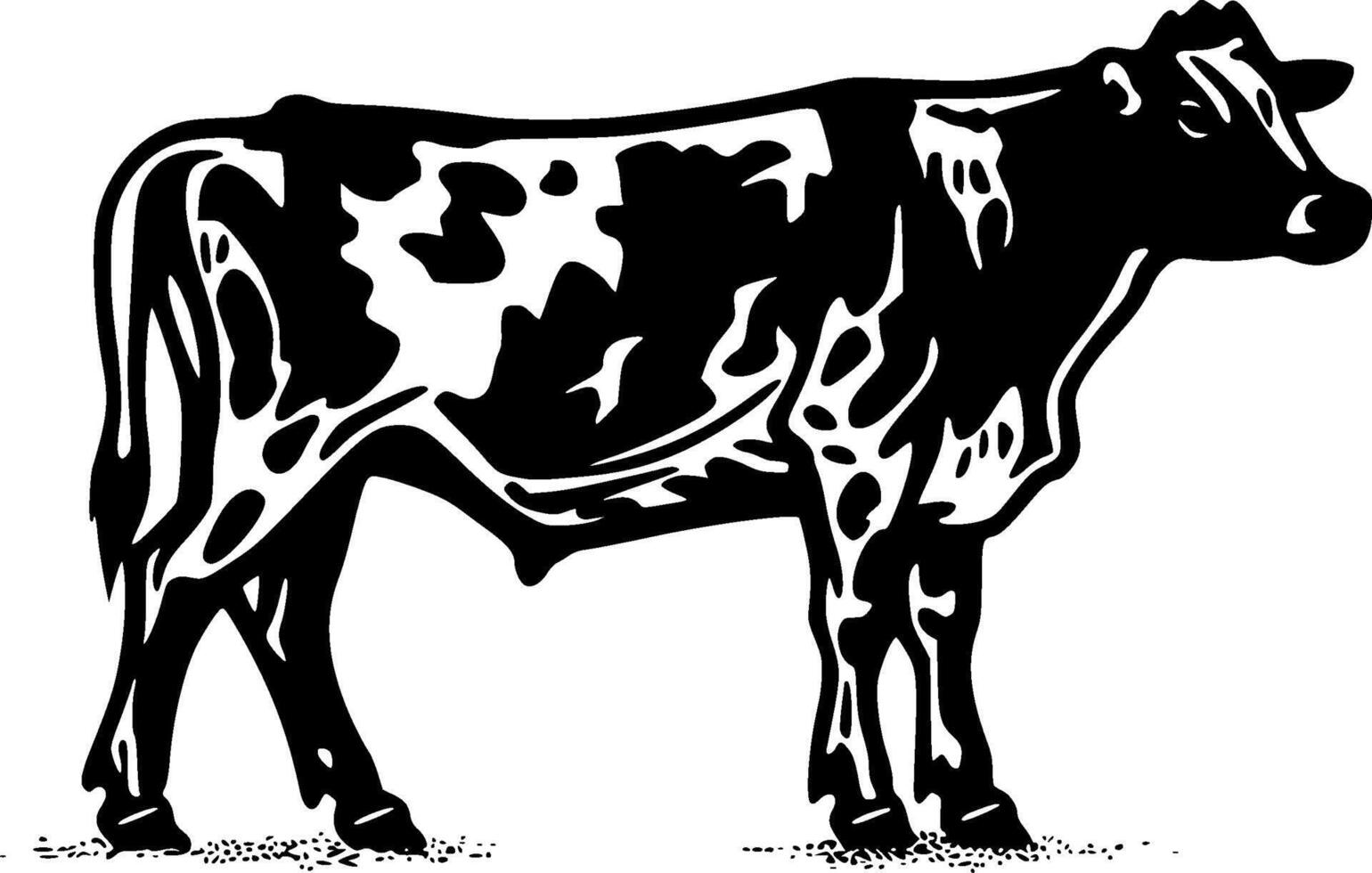 Cow, Black and White illustration vector