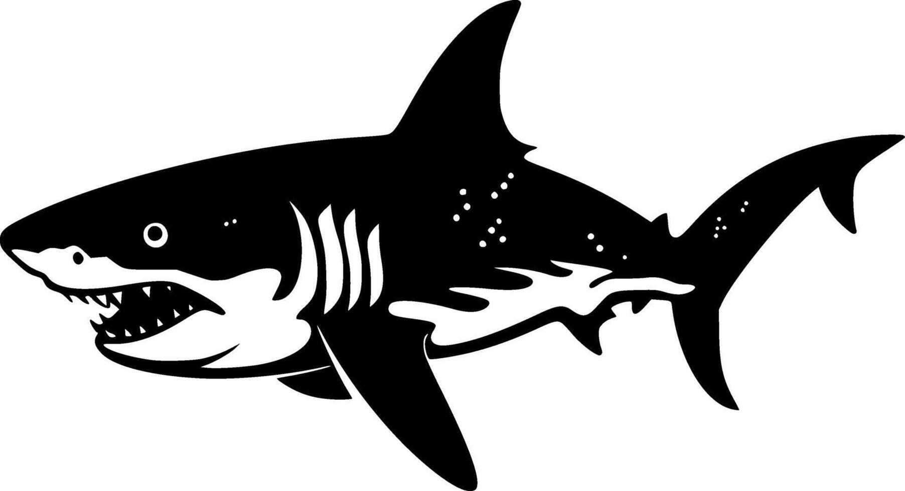 Shark, Black and White illustration vector