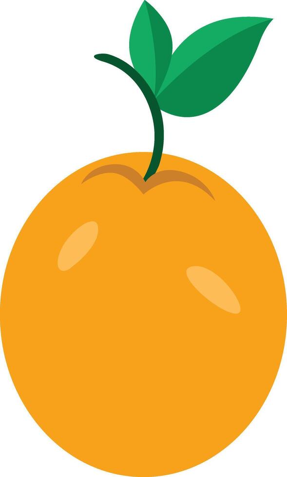 Orange passion fruit with green leaves vector