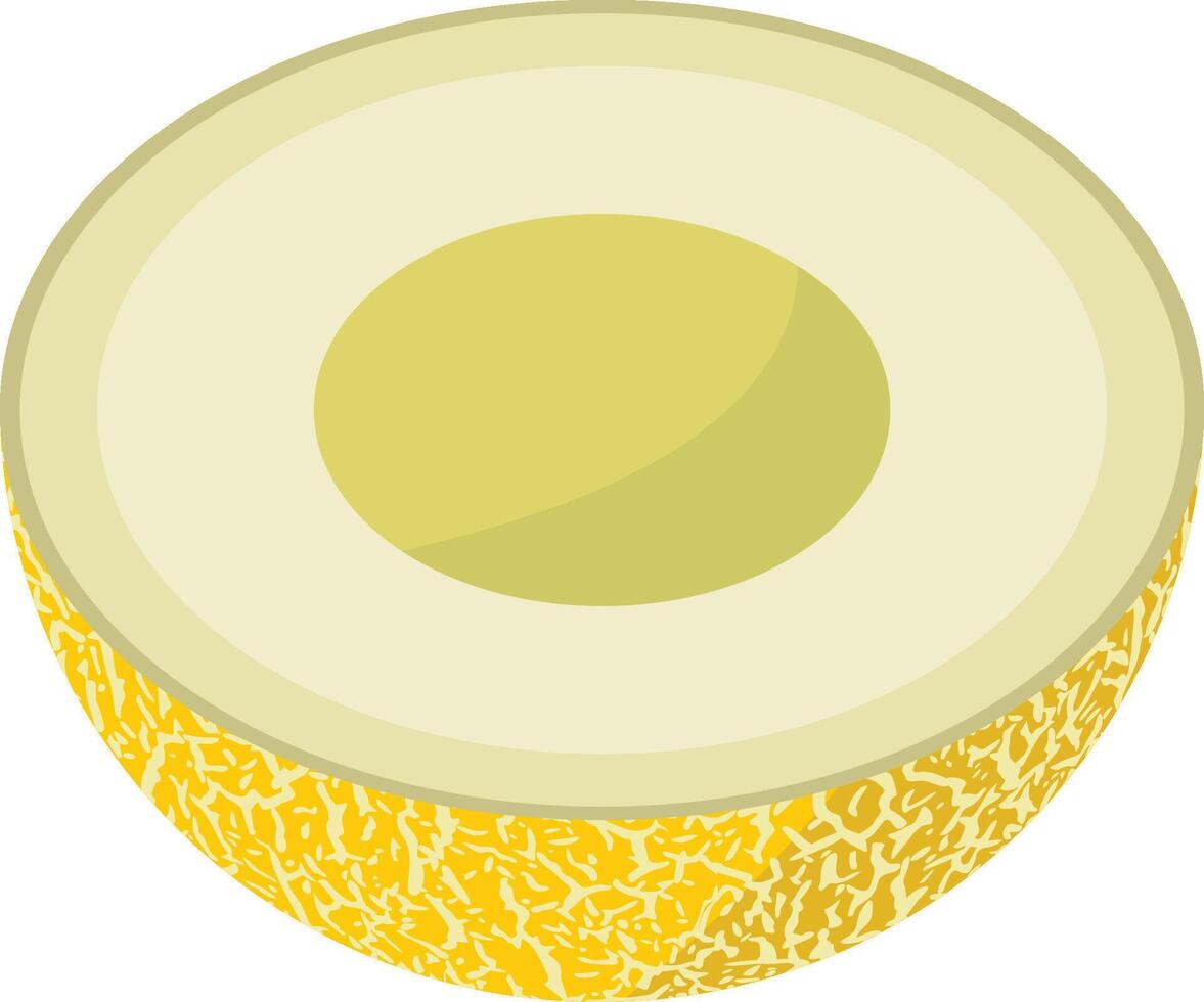 Half of cantaloupe melon isolated vector