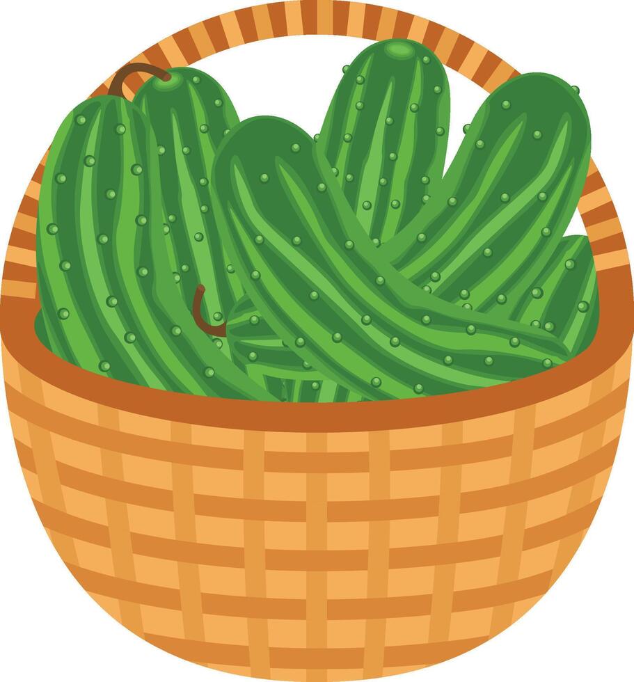 Wicker brown basket full of fresh cucumbers vector
