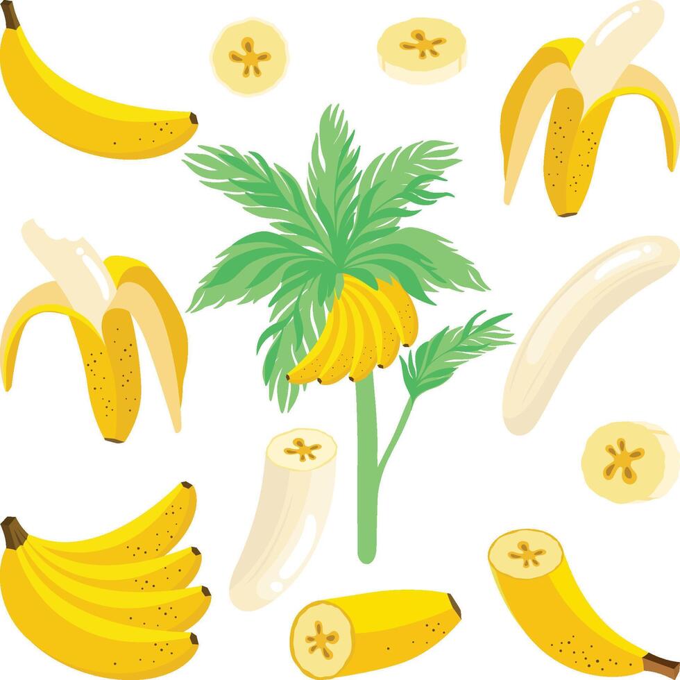 Set digital collage of banana vector