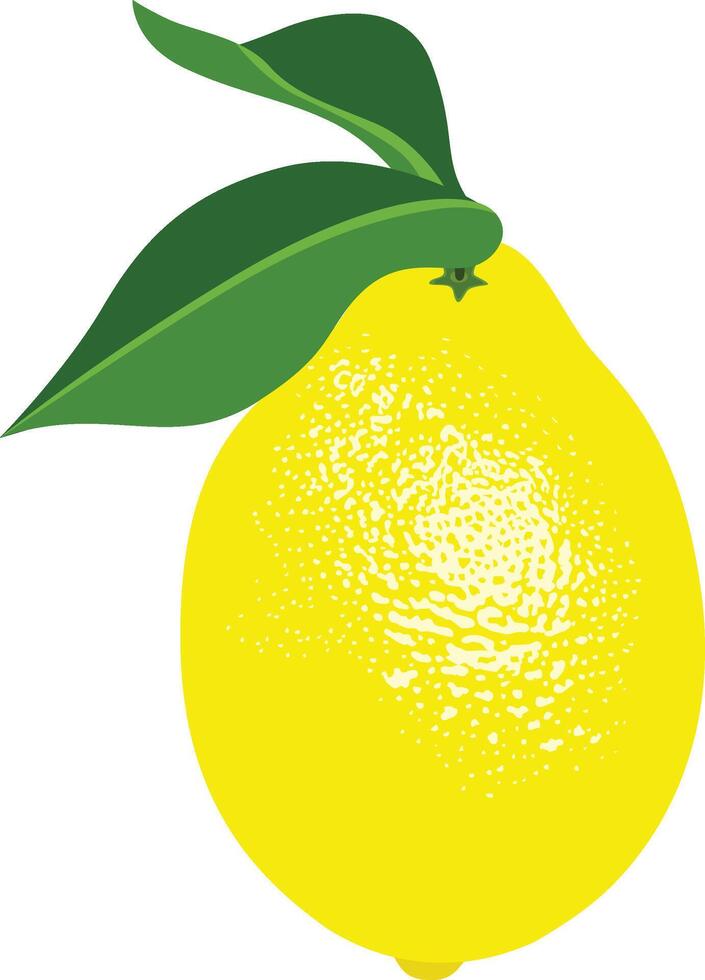 Fresh yellow lemon with leaves vector