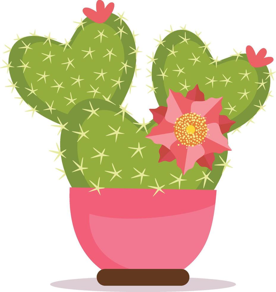 Succulent green heart-shaped cactus in pink vase vector