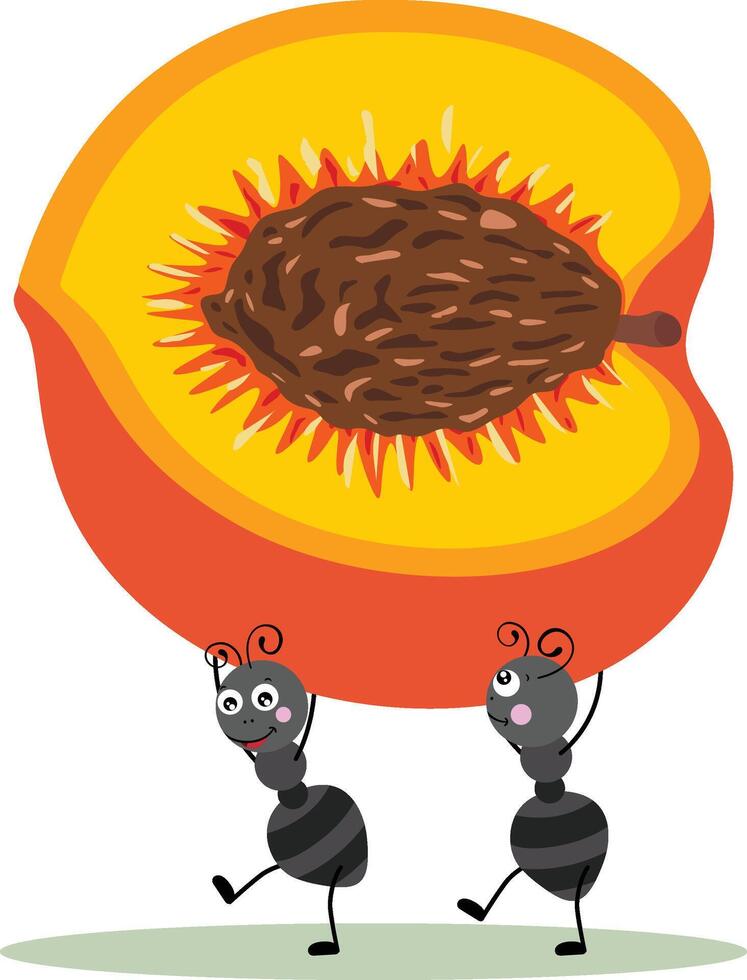 Cute two ants carrying a peach vector