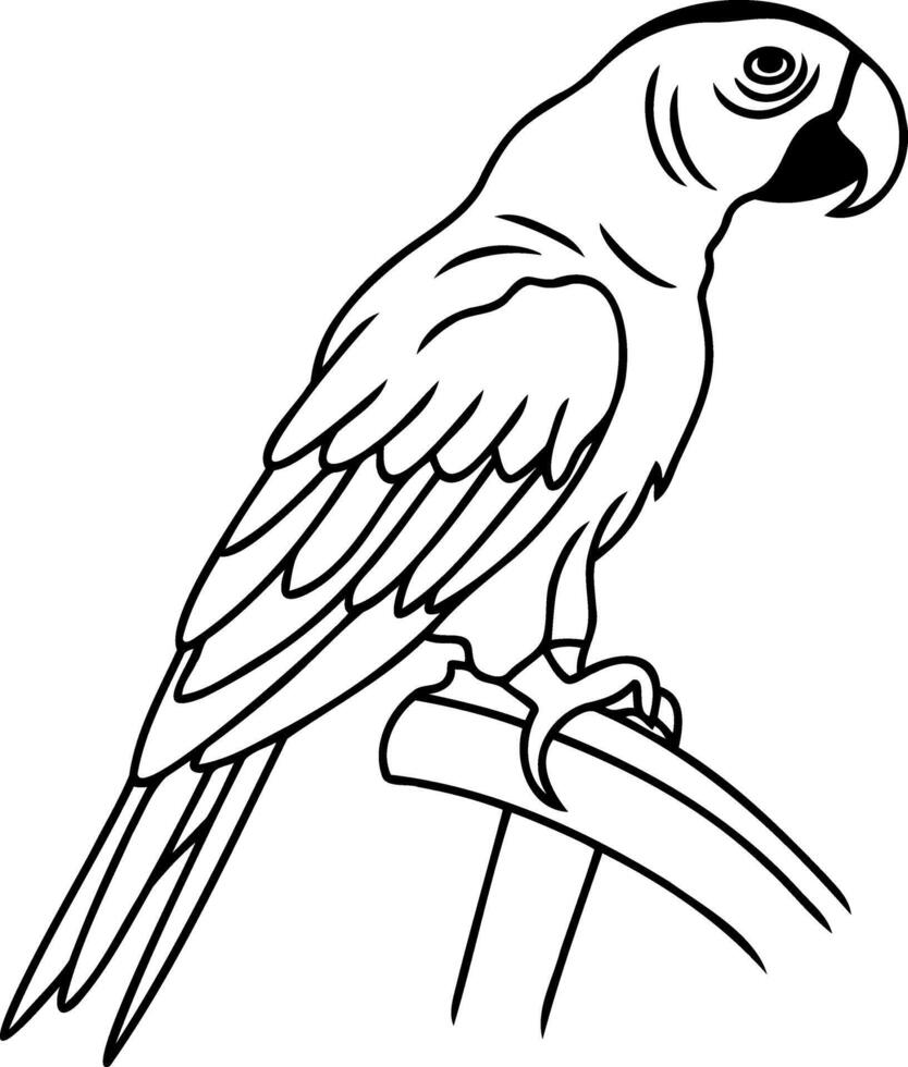 Coloring page book Animal parrot icon vector