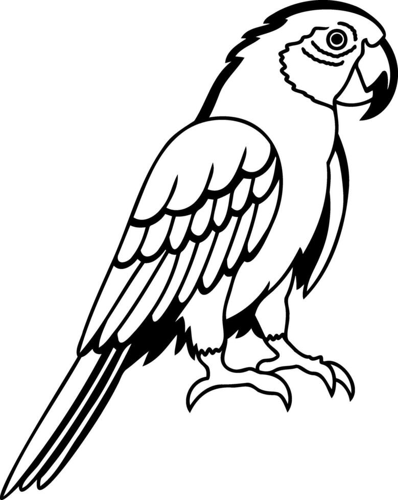 Coloring page book Animal parrot icon vector