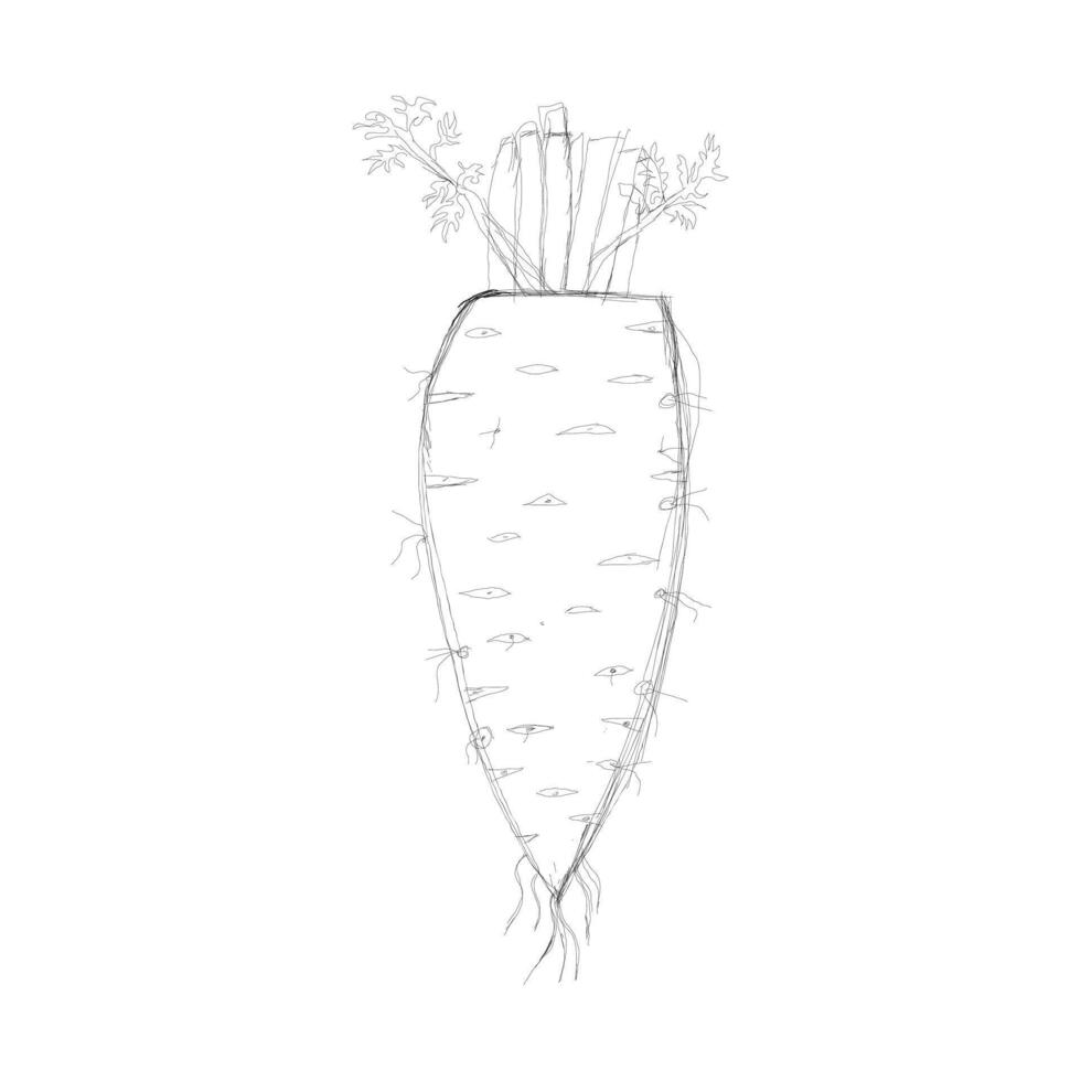 hand drawn carrot sketch design vector
