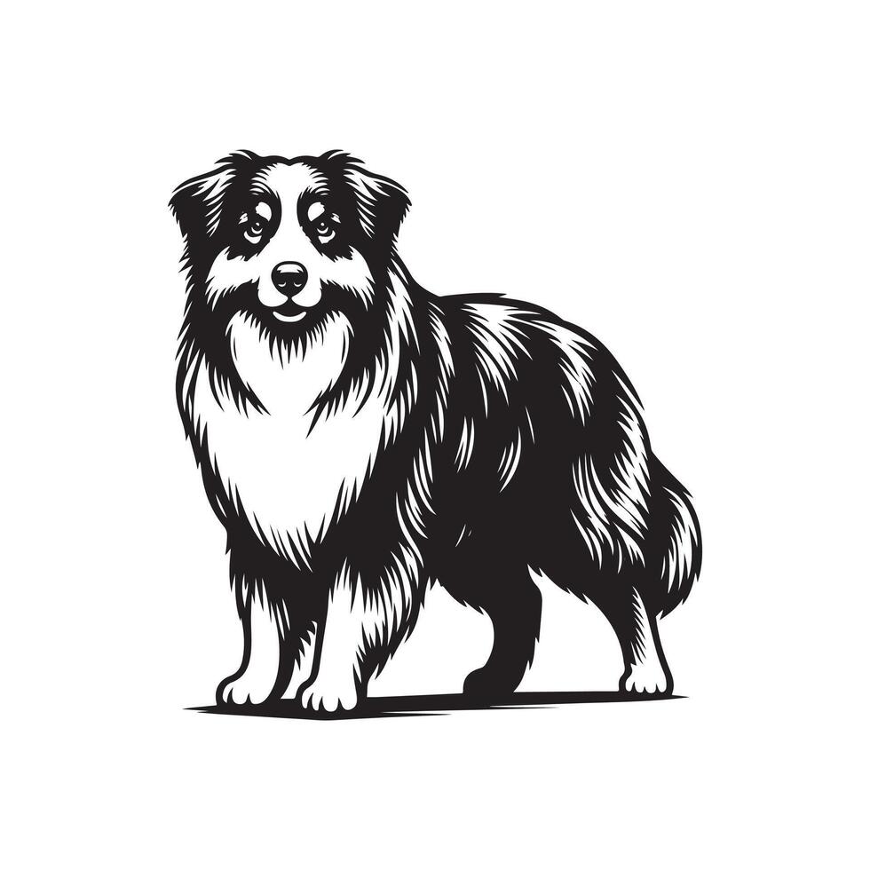 Australian Shepard logo silhouette design vector