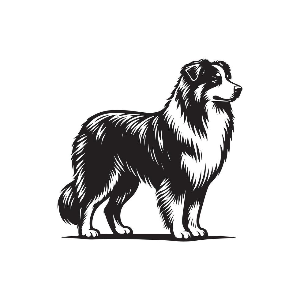 Australian Shepard logo silhouette design vector