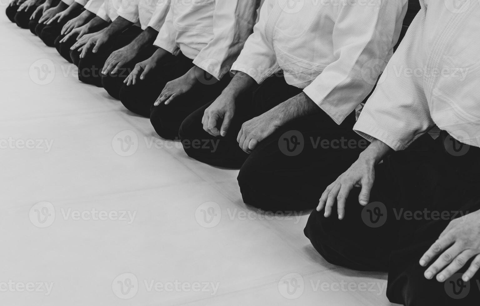 People practicing aikido in a dojo background. photo